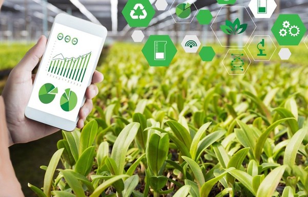 Chuyển giao phần mềm Mô hình quản lý trang trại thông minh VIIS